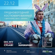 Предновогодний костюмированый забег Предновогодний костюмированый забег